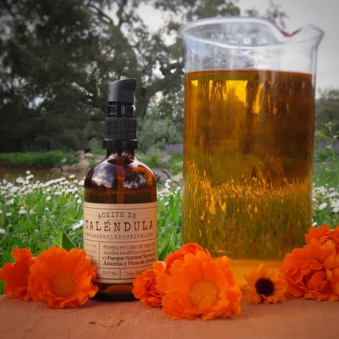Aceite vegetal de Caléndula - Imagen 2