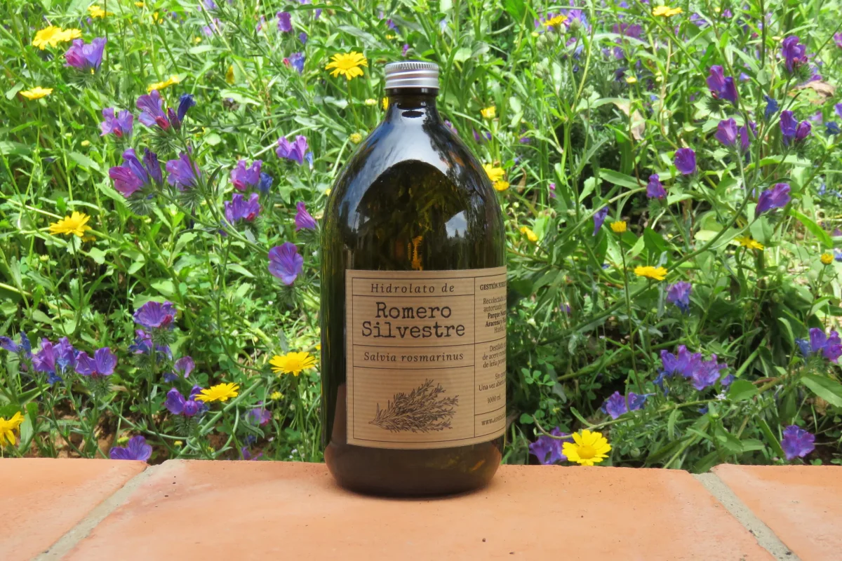 Hidrolato de Romero Silvestre