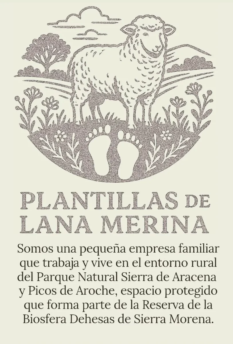 VISITA + TALLER LANA Procesos artesanales para transformar la lana - Imagen 4